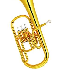 CORNO ALTO EB (FLISCORNO ALTO) SCALA ITALY SAH130