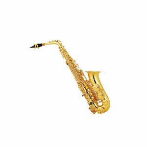SAXOFON ALTO PROFESIONAL SCALA ITALY SAS26