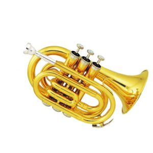 TROMPETA BOLSILLO SCALA ITALY STR50
