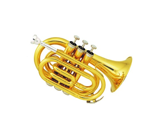 TROMPETA BOLSILLO SCALA ITALY STR50