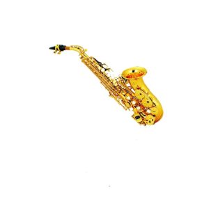 SAXOFON SOPRANO CURVO SCALA ITALY SSSC31
